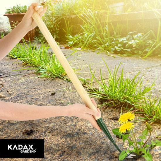 KADAX Onkruidsteker 55 cm, onkruidverwijderaar van metaal, steker voor efficiënt verwijderen van onkruid, onkruidwieden met lange steel van hout, comfortabele wieder met twee messen van Merkloos	 — afbeelding 3