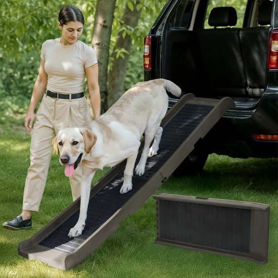 Hondenloopplank voor Auto & SUV Antislip