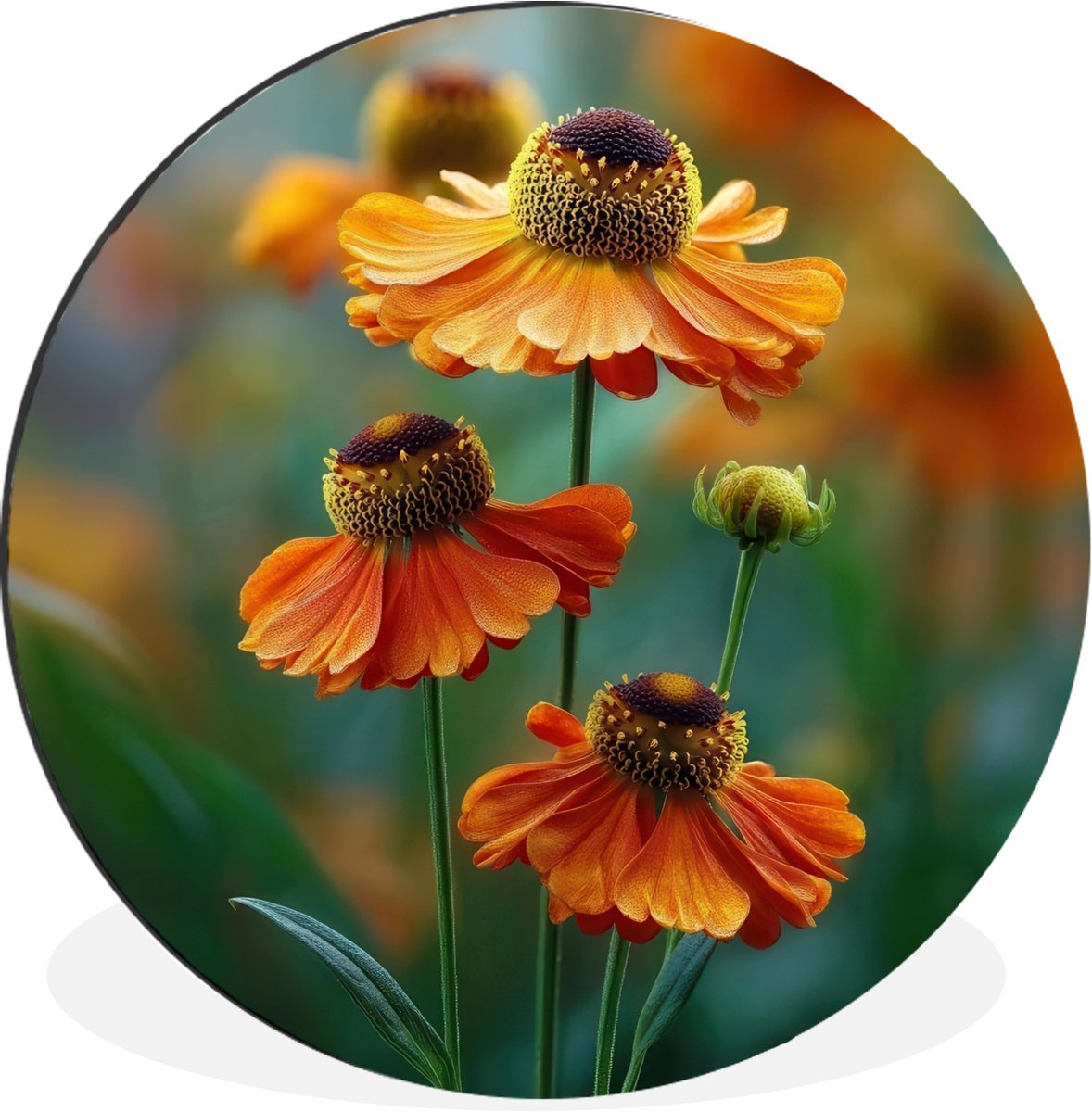WallCircle Wandcirkel - Muurcirkel - Oranje bloemen - Levendig - Wazige achtergrond - Aluminium - Dibond - 140x140 cm - Binnen en Buiten