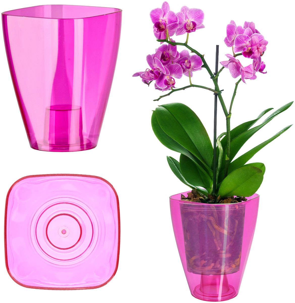 KADAX Storczyk - Bloempot - Vierkant 12cm - Kunststof - Roze