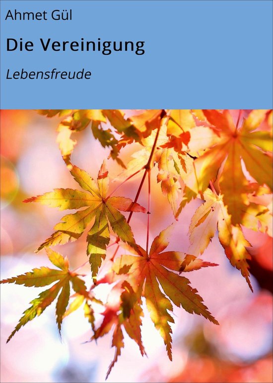 Die Vereinigung - cover