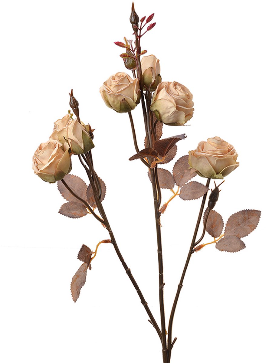 Clayre & Eef Kunstbloem 73 cm Beige Kunststof