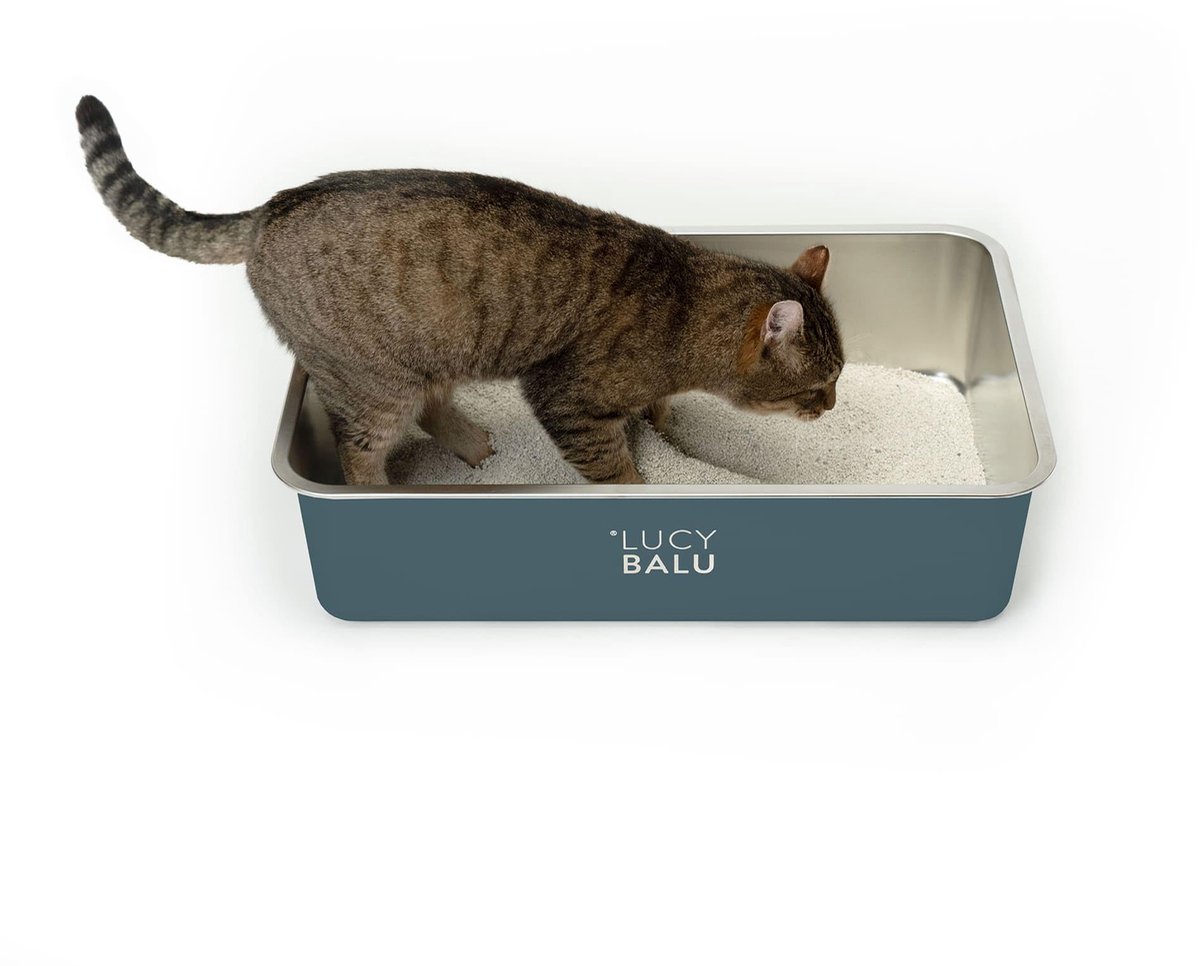 LucyBalu® roestvrijstalen geurloze kattenbak | grote roestvrijstalen kattenbak | kattenbak met open instap aan de bovenkant | hop-in kattenbak zonder deksel | kattentoilet | antraciet