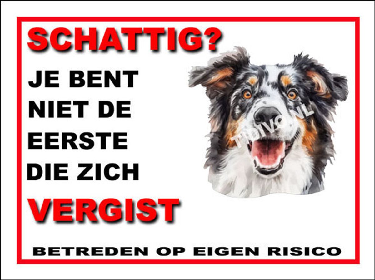 Engelse Shepherd 14