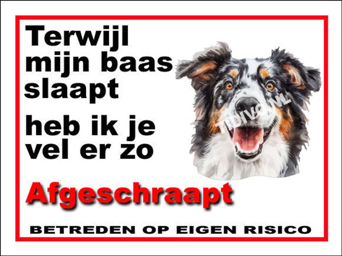 Engelse Shepherd 15