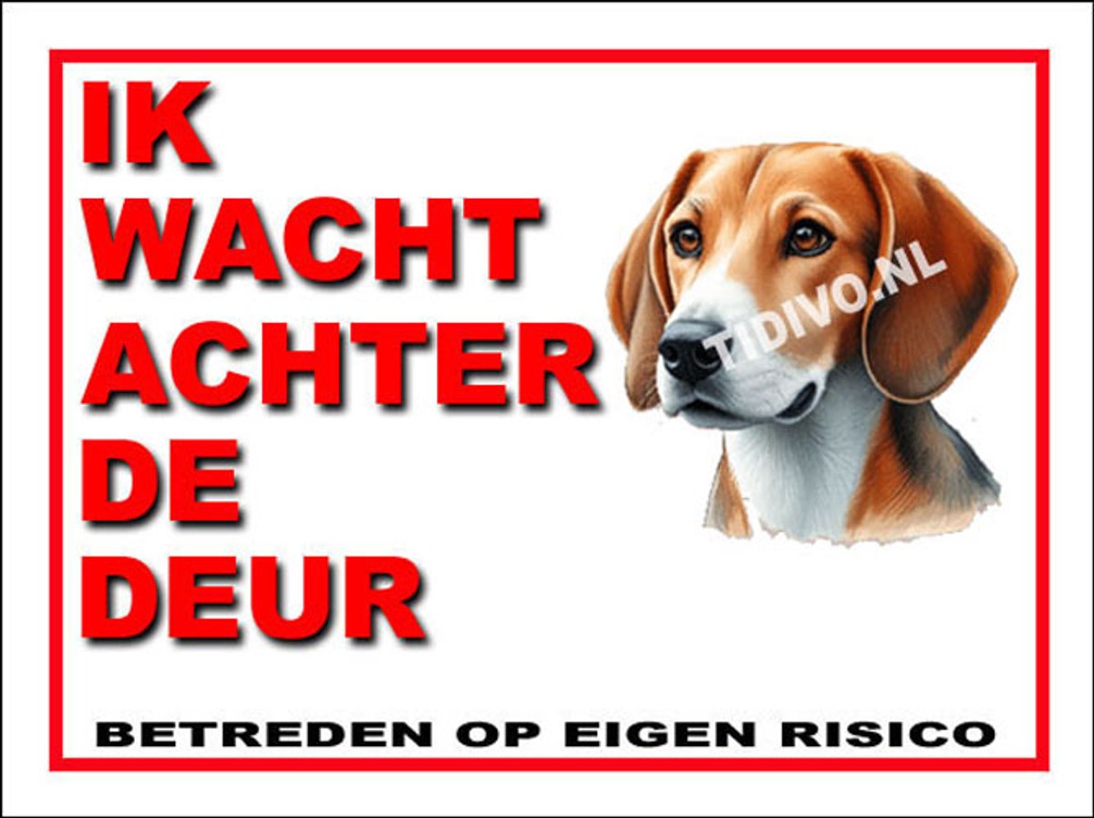 Engelse Foxhound 10
