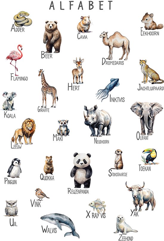 Affiche alphabet – Animaux ABC – Apprendre les lettres – pour Enfants – Format 43 x 61 cm – Affiche éducative – Ludique et pédagogique – Affiches École