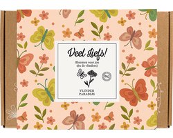 Blossombs Giftbox Small - 7 Zaadbommetjes - Veel liefs! - Vlinder Mix - Bloemen Cadeau