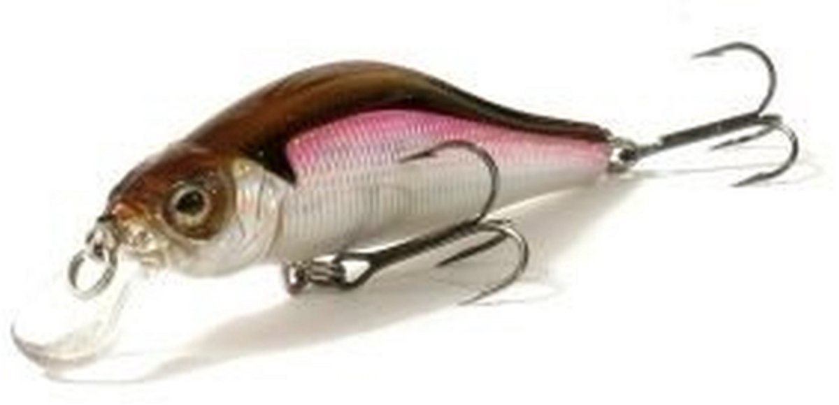Strike Pro Archback 60 - Pluggen en jerkbaits - Strike Pro - Fishing-bait.nl