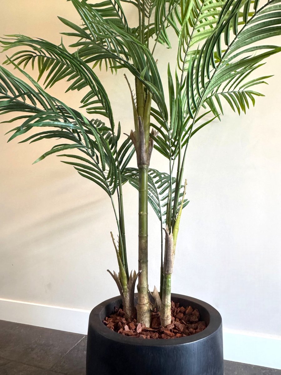 Zijden Palmboom – Kunstplant – 180 cm – Tropisch – Onderhoudsvrij
