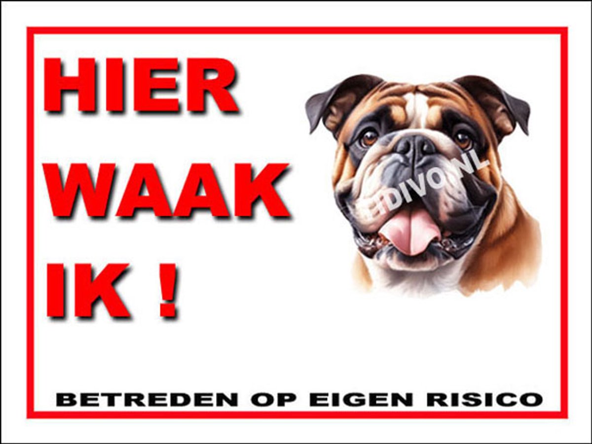 Engelse Bulldog 3