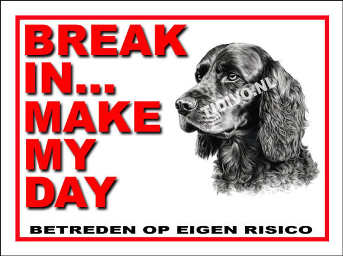 Engelse Cocker Spaniel 1