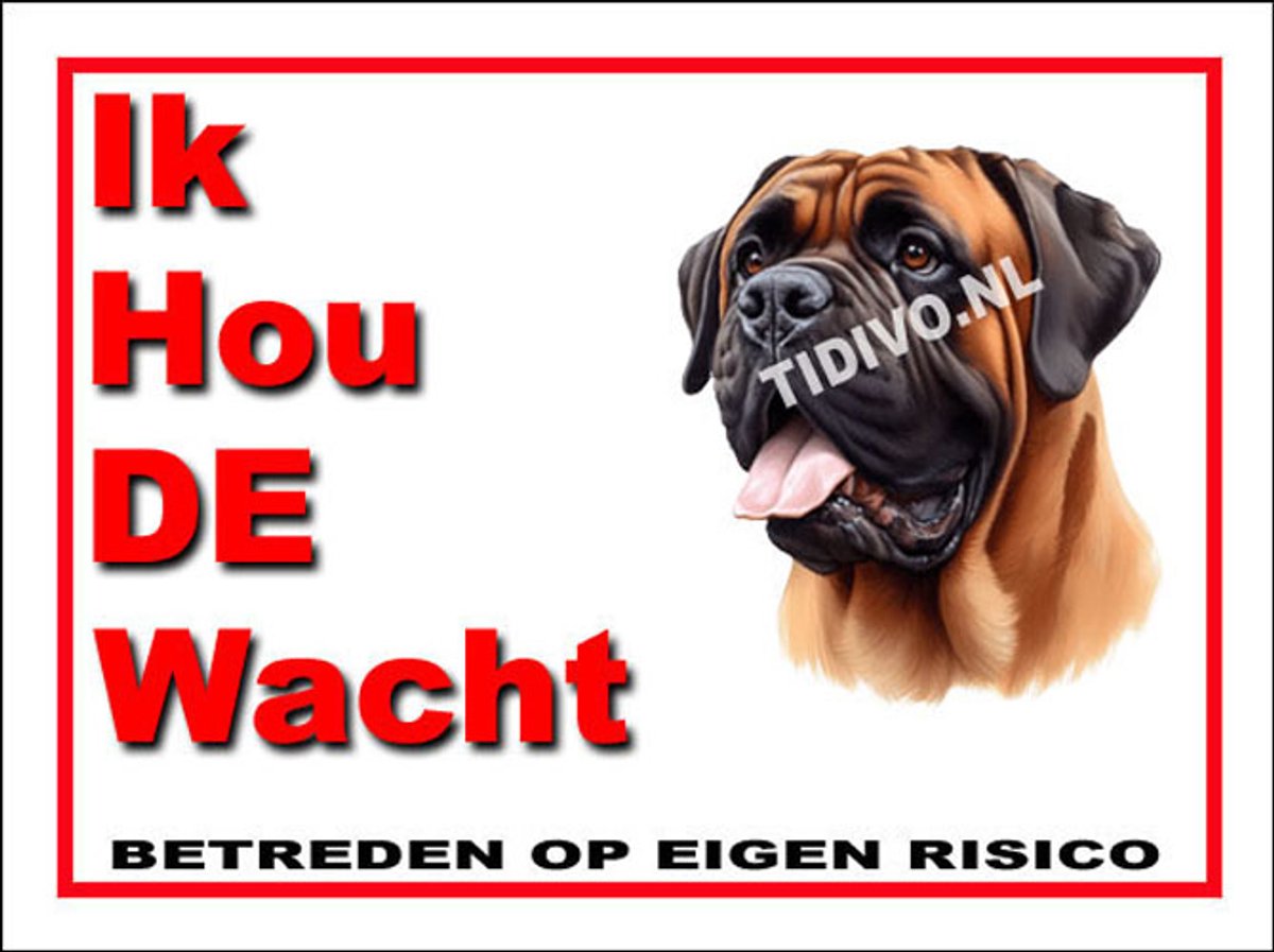 Bullmastiff 7
