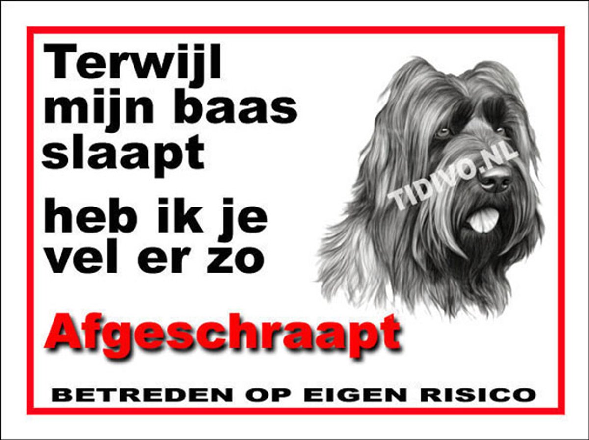 Briard 15