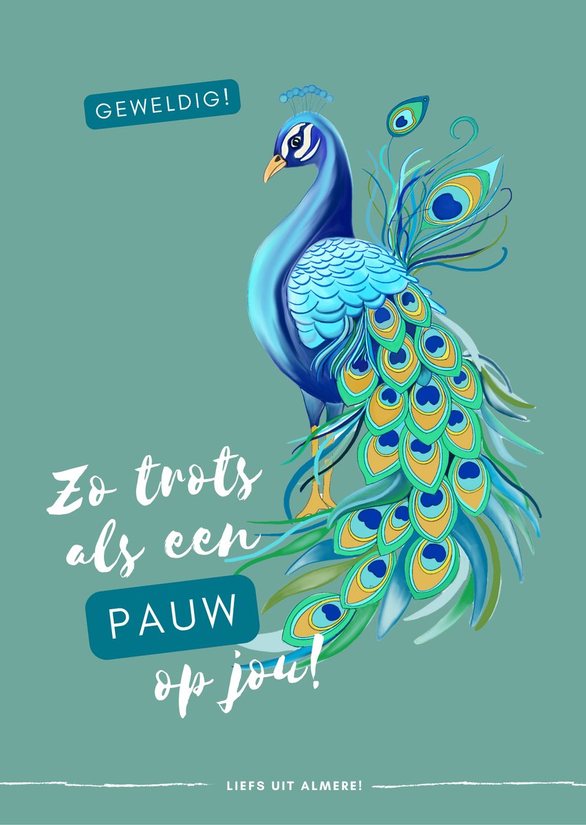 Wenskaart Almere - “Zo trots als een pauw” – Studio Spreekwoord - Wenskaart met spreekwoord - met envelop