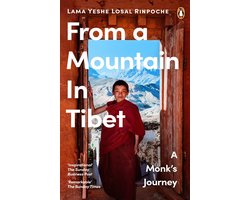From a Mountain In Tibet
