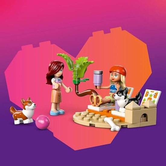 LEGO Friends Surf et scooter s'amusent avec les chiens - 42641