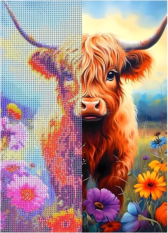 Diamond Art Highland Cow DIY Schilderen Met Diamanten 30cm X 40cm Bol Diamond Art Highland Cow DIY Schilderen Met Diamanten 30cm X 40cm Bol