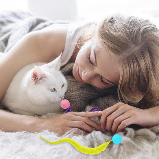 20 TLG. Set kattenspeelgoed - speelgoed voor verschillende katten voor beroep & zelfstandige - spelen & plezier met het huisdier