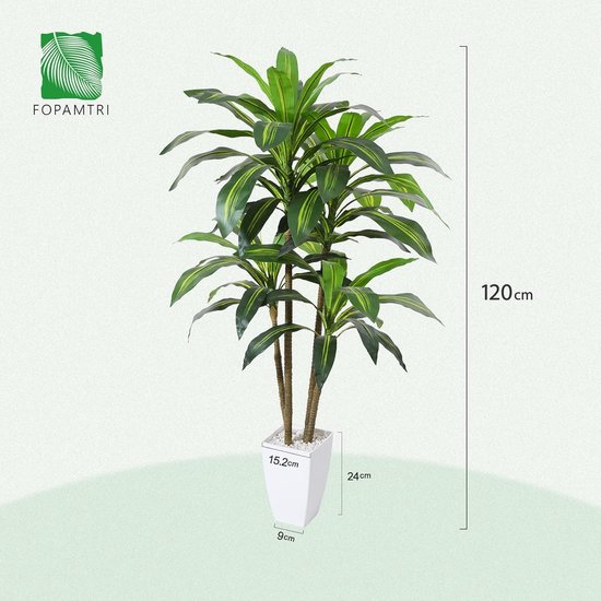 Hawaïaanse plant - Brighamia | Online kopen op Hawaïaanse plant - Brighamia | Online kopen op