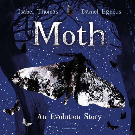 Moth - cover