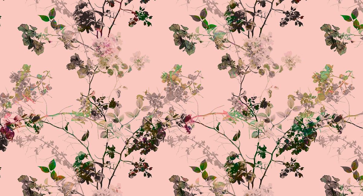 Behang walls by patel branches 1