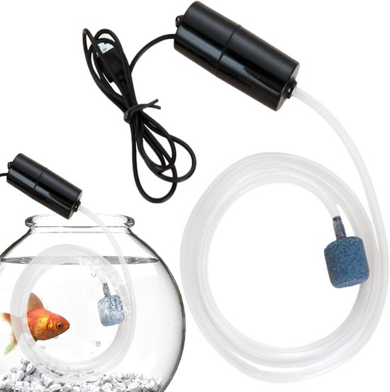 Pompe à air pour aquarium - Dry - Portable - Étanche - Silencieuse - Alimentée par piles
