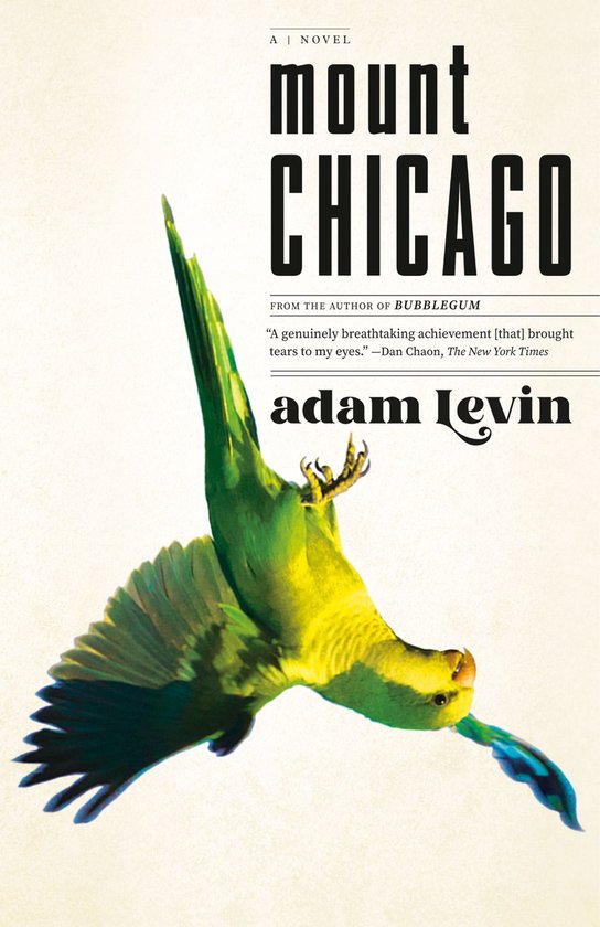 Mount Chicago - cover