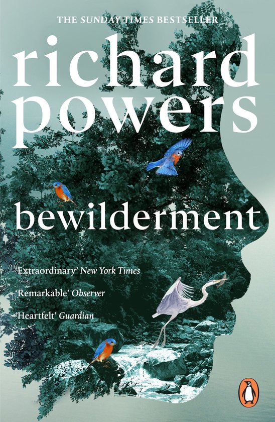 Bewilderment - cover