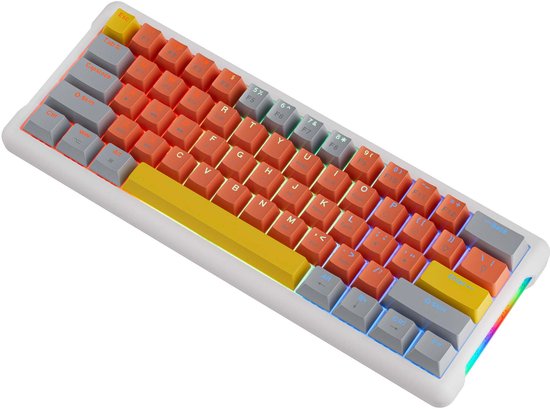 NAXSIR Hoogwaardig Mechanisch Toetsenbord - Bedraad 61 - Toetsen Compacte Opstelling met Vibrante RGB - Verlichting - Perfect voor Gamers en Productiviteit