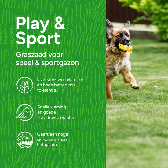 Zak Speelgazon Graszaad á 5 kg.- 250m2 | Tuinhout en Sierbestrating