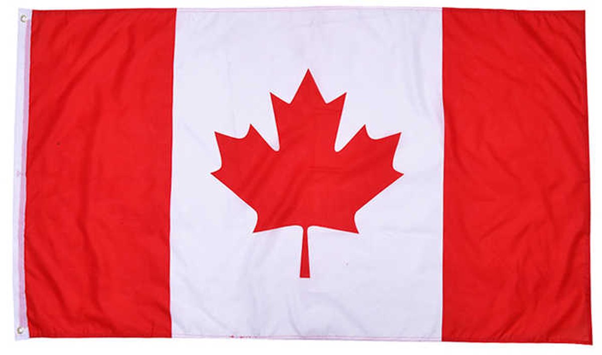 Formule 1 Finish vlag - 150 x 90 cm