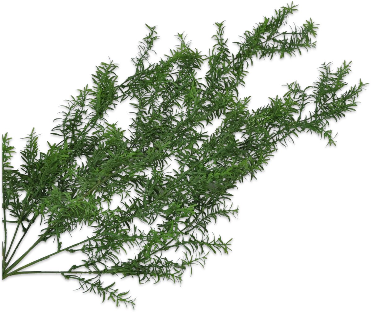 Silk-ka Kunstplant voor Binnen (hang) Vetplant-Asparagus Groen 104 cm