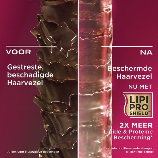 Vergelijking van haarvezels: "VOOR Gestreste, beschadigde haarvezel" en "NA Beschermde haarvezel NU MET LIPPI PRO SHIELD 2X MEER Lipide & Proteïne Bescherming*".