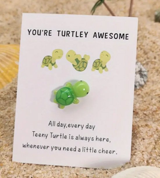 Zwangerschapscadeau – schildpad