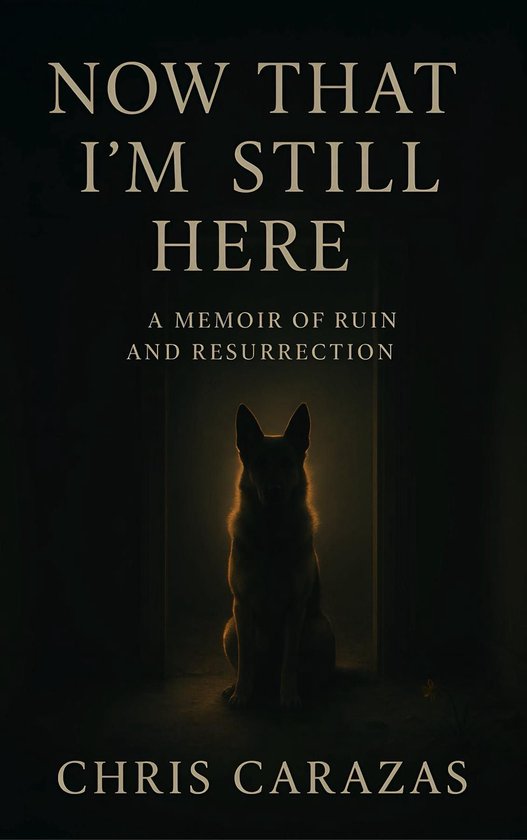 Now That I'm Still Here - cover