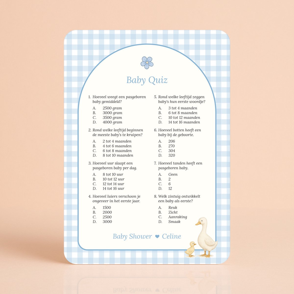 Gepersonaliseerde Babyshower invulkaarten - Baby Quiz - Gingham Blauw met Gansje - 20 Stuks - Babyshower Cadeau