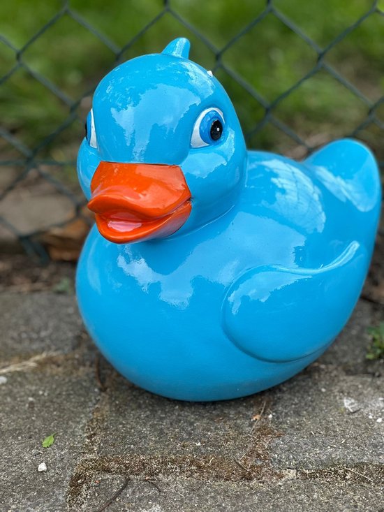 Aya Fuligula Van De Vrouwelijke Tuftende Eend Met Bruine Plumage En Gele Ogen Die Zwemmen Op Het Wateroppervlak Tufted Duck Aythya Image266881258