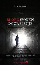 Bloedsporen door Spanje: wandelingen langs historische plaatsen delict