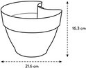 Schematische weergave van een terracotta regenpijpbakje met afmetingen: breedte 21.6 cm, hoogte 16.3 cm.