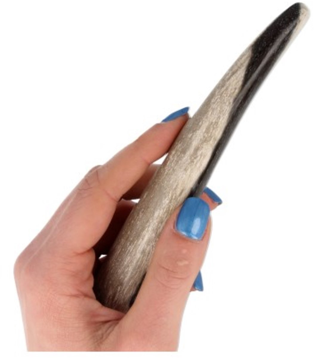 Goedkoopste Behandelstaaf Indonesisch Versteend Hout