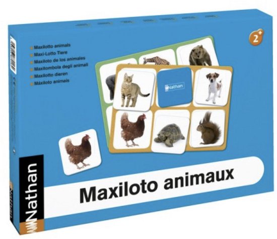 Maxi Lotto dieren - 4 kartonnen platen - 24 kaartjes van stevig karton