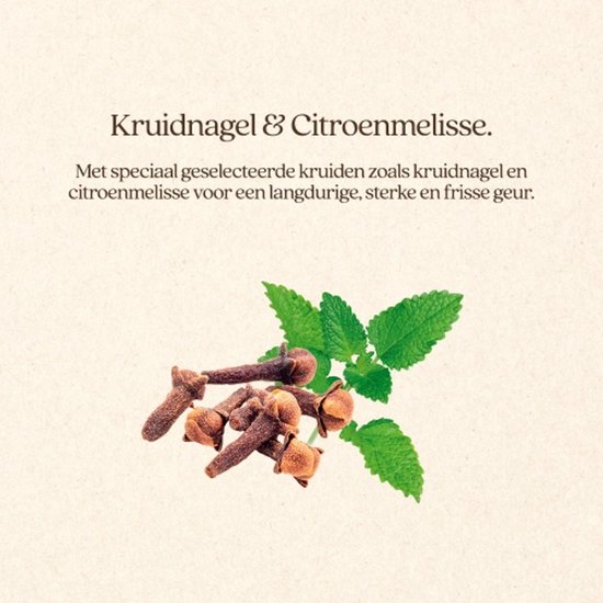 Kruidnagel en citroenmelisse blaadjes met tekst.