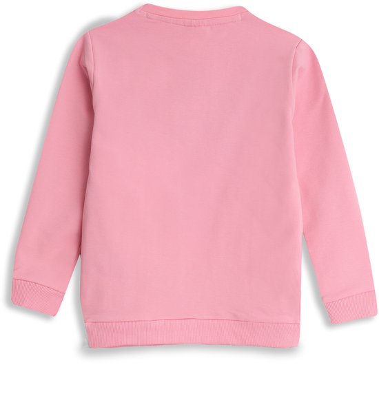 Roze sweater, achterkant.