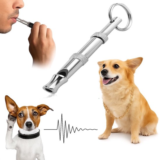 Een man blaast in een zilveren hondenfluitje. Twee honden luisteren. Een hond met gouden ketting.