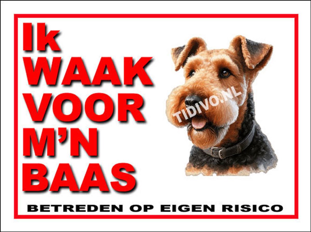 Airedale Terrier 9