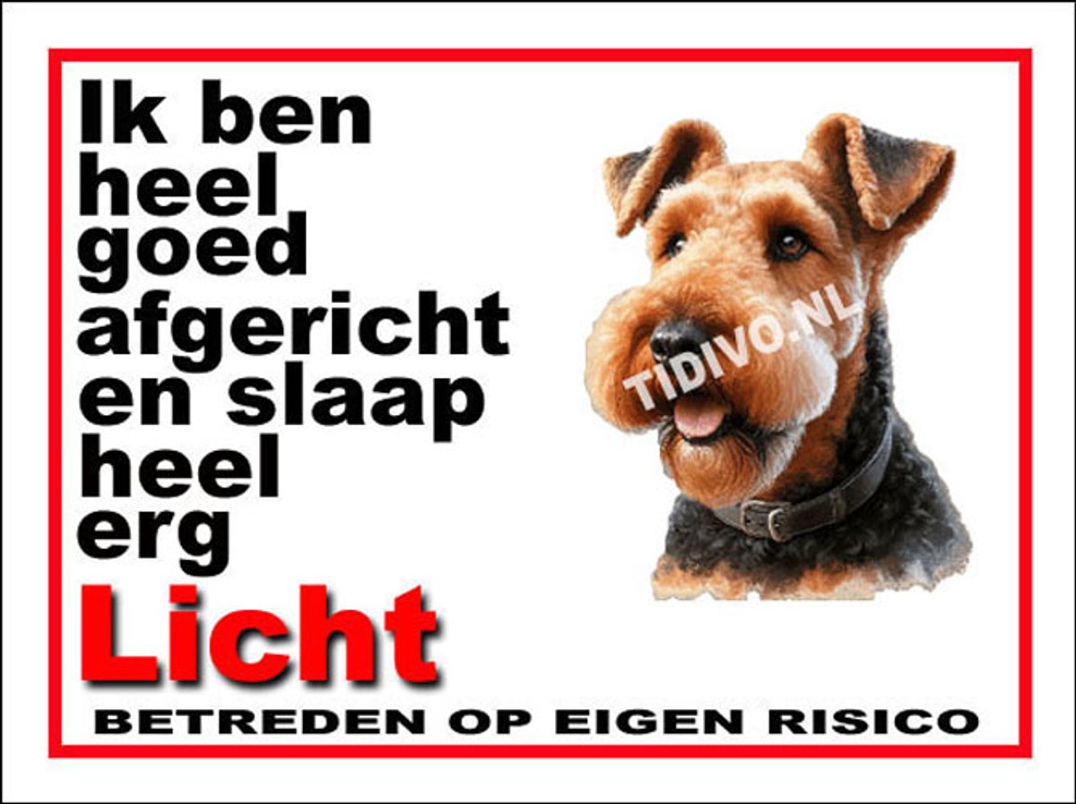 Airedale Terrier 4