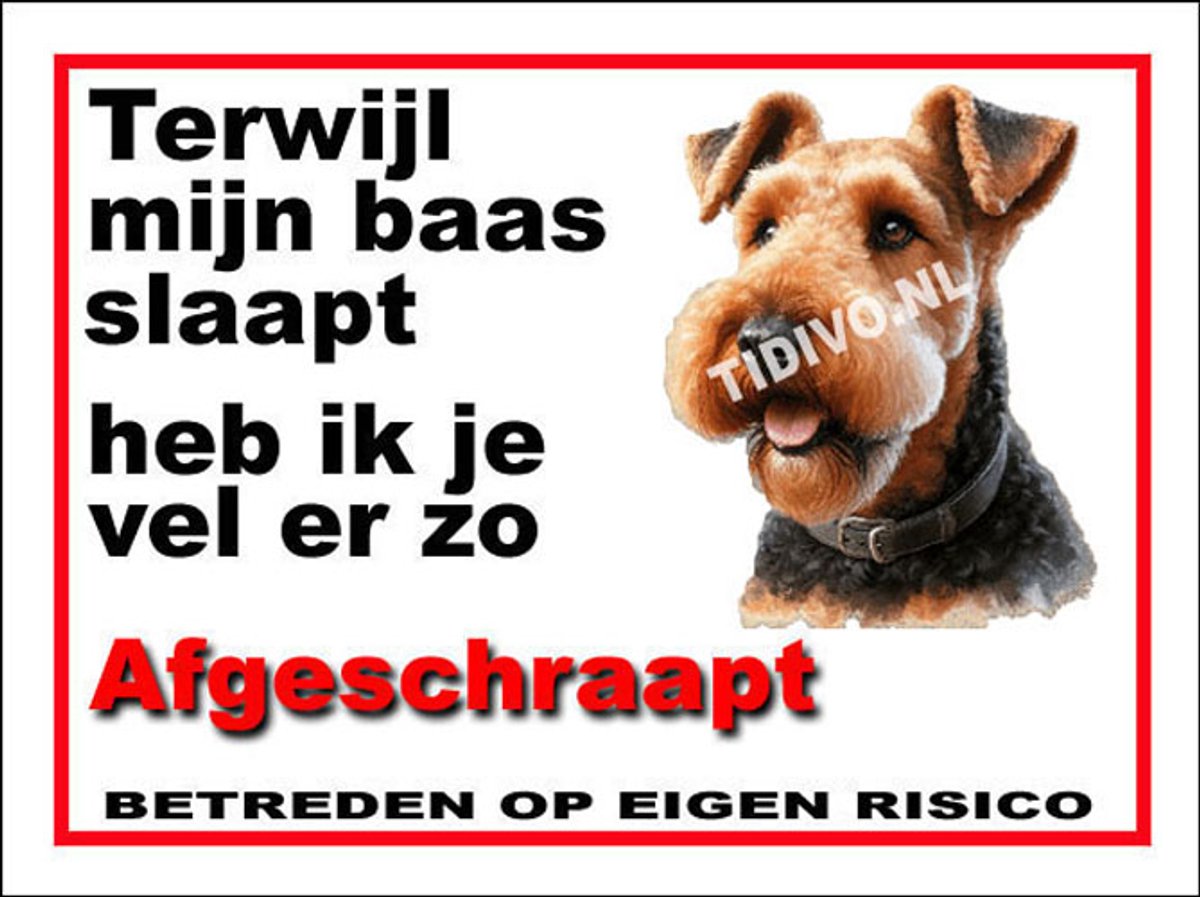 Airedale Terrier 15