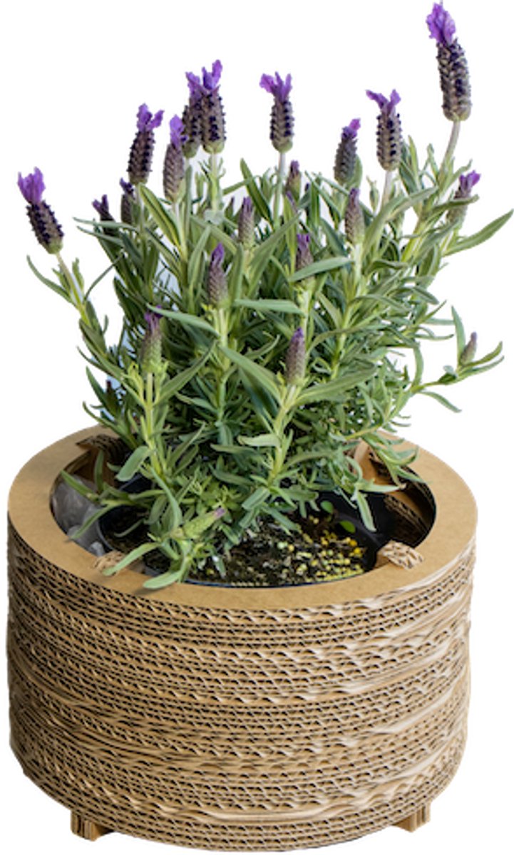 Kartonnen bloempot roos Maat S - Diameters 21 cm - Kartent