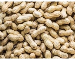 Voerwaarts Doppinda's - 10kg - Grondnoten - Pinda's in de dop - Vogelvoer